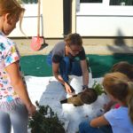 Oasis for Kids 65 DSC 0443 1