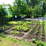 Oasis for Kids 61 DSC 0484 1