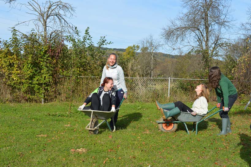 wop126960709 3822169174500899 1064539983243643670 n