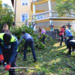 ESC GREEN FINGERS – autumn volunteering team 2022 testimonies (part 2) 30 DSC_0488