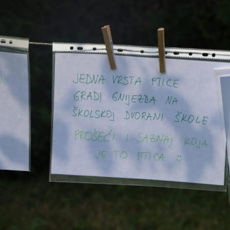 Screenshot 2024-06-26 105334