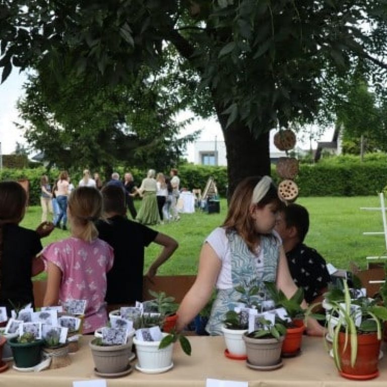 Screenshot 2024-06-26 105513